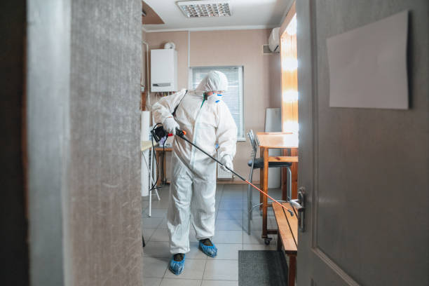 Professional Mold Inspection, Removal & Remediation in Grayson, GA